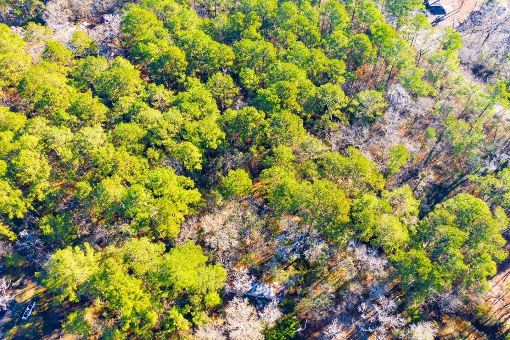 0.33 acres in Trinity County gallery image 3