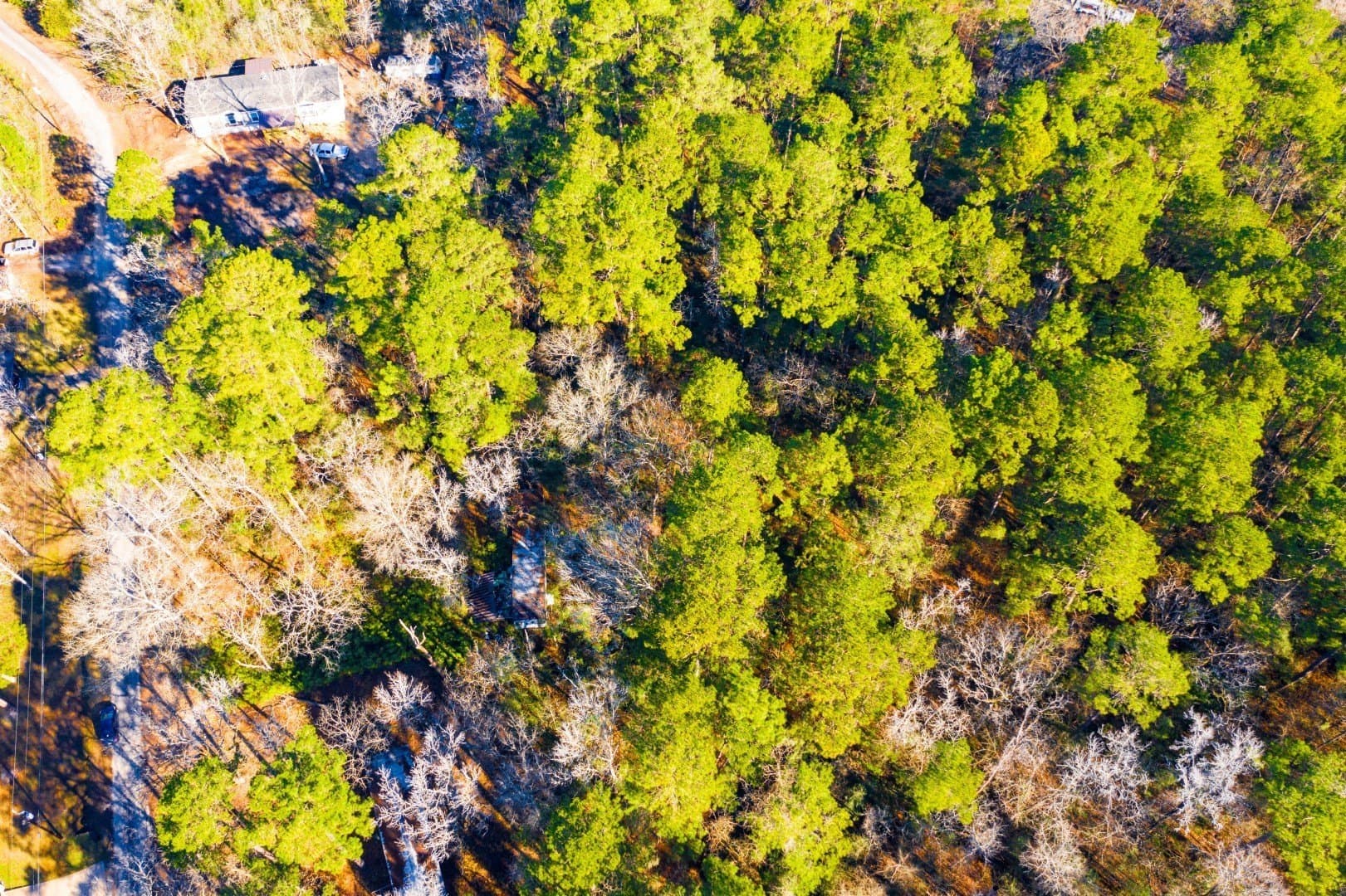 0.33 acres in Trinity County featured view