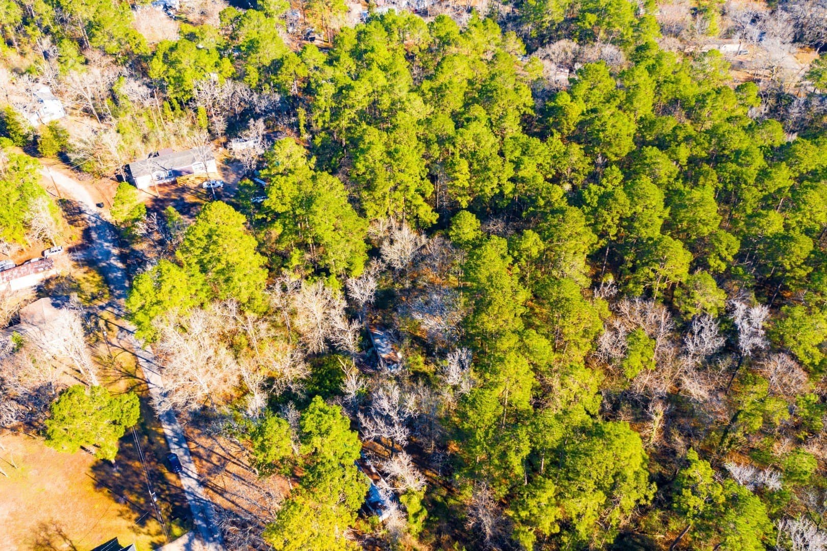 0.33 acres in Trinity County - photo 18
