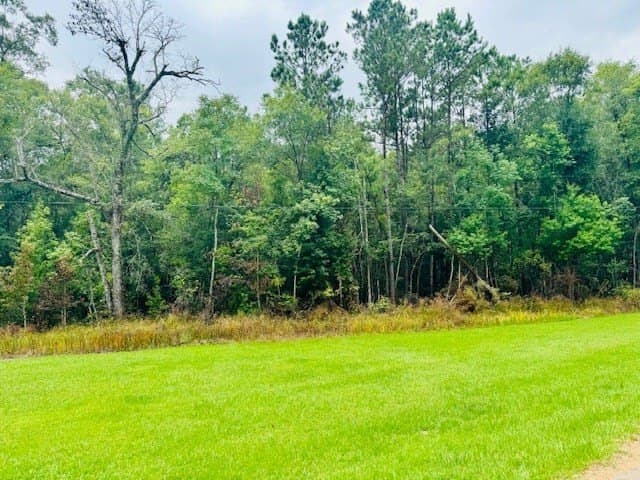 14.04 acres in Texas County featured view