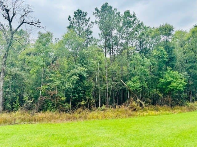14.04 acres in Texas County gallery image 4
