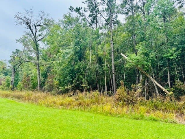 14.04 acres in Texas County gallery image 2