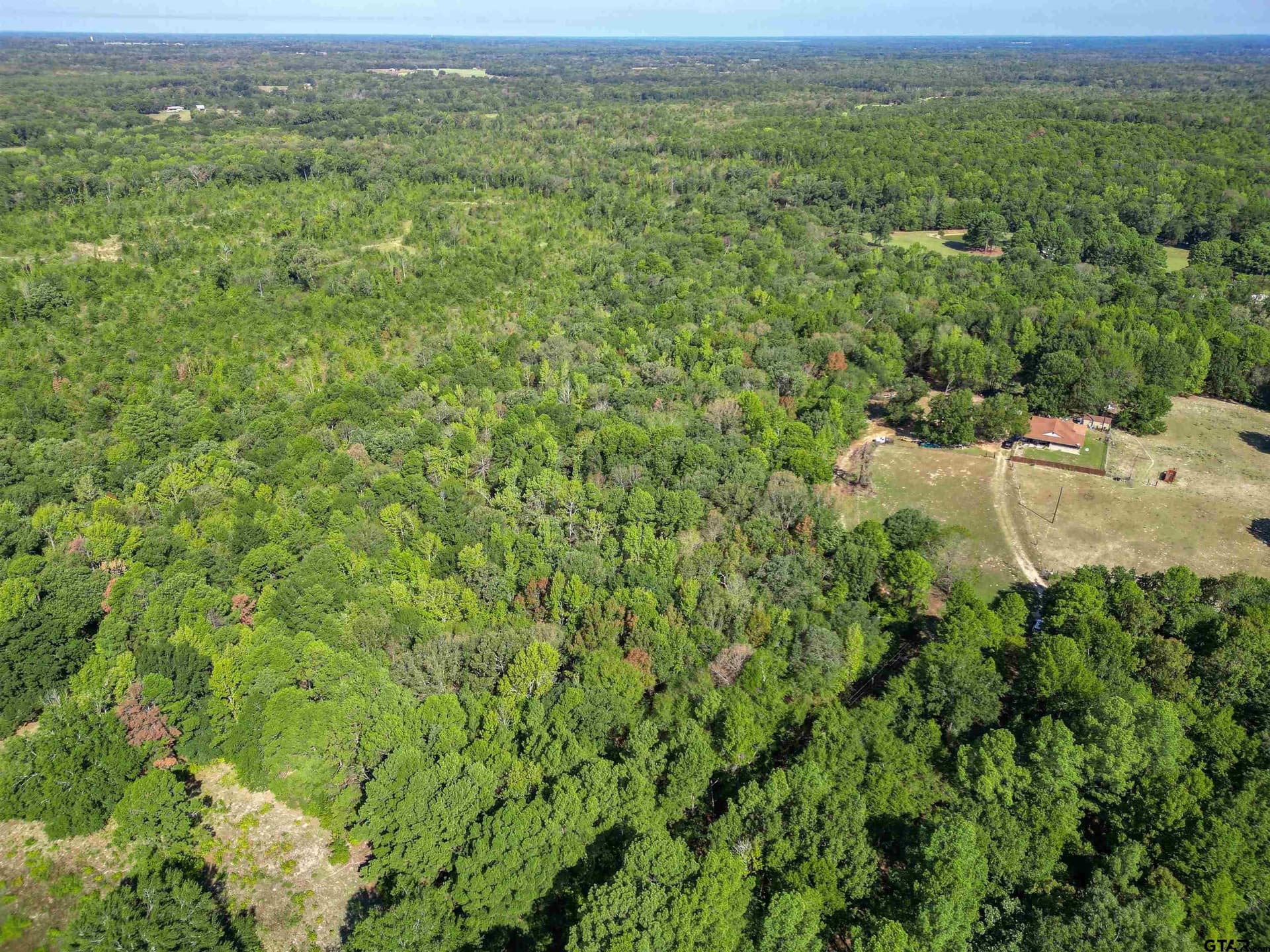 18 acres in Wood County - photo 7