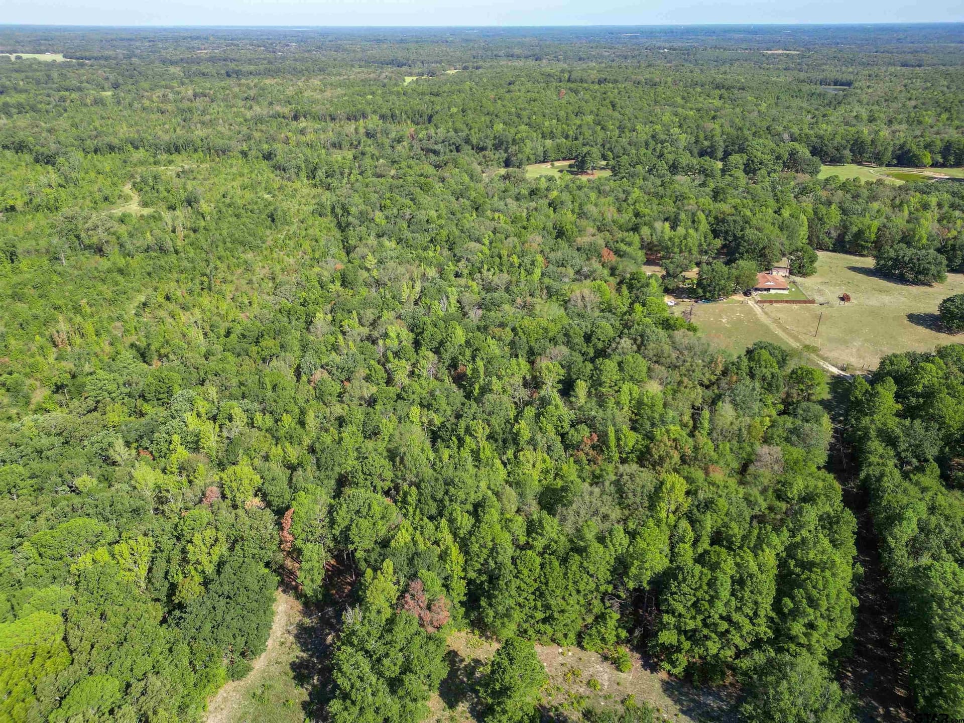 18 acres in Wood County - photo 9