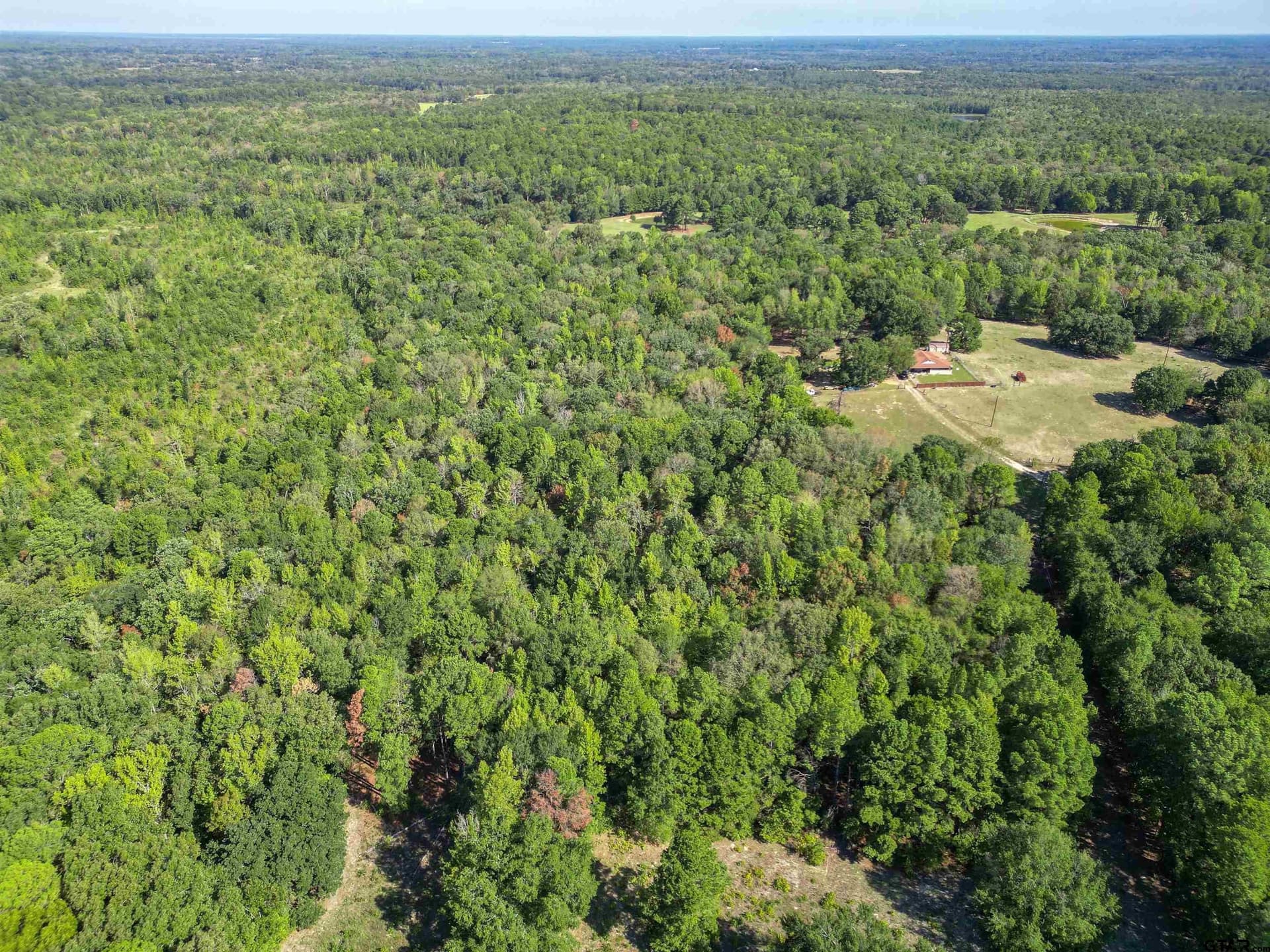 18 acres in Wood County - photo 12