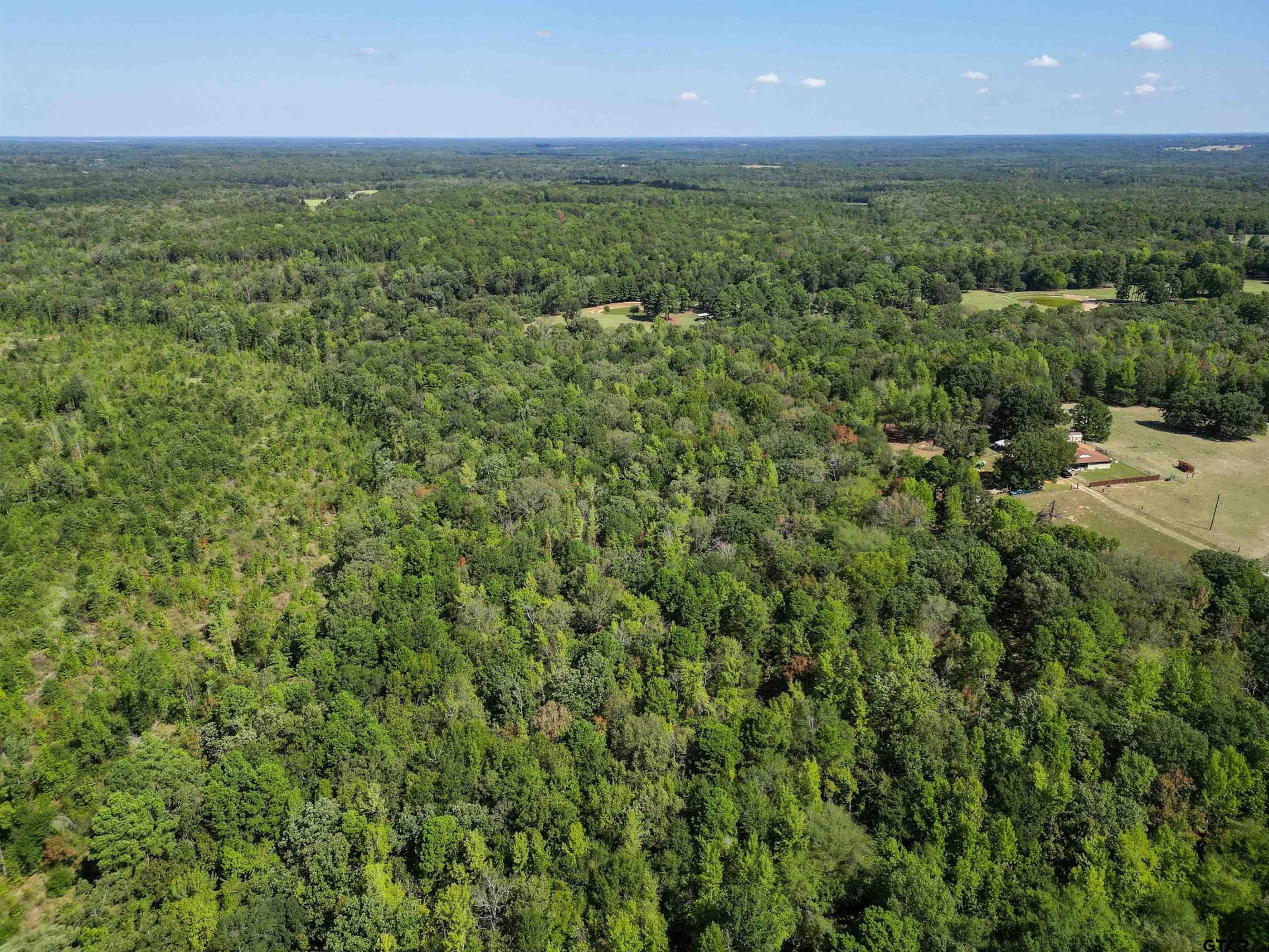 18 acres in Wood County - photo 14