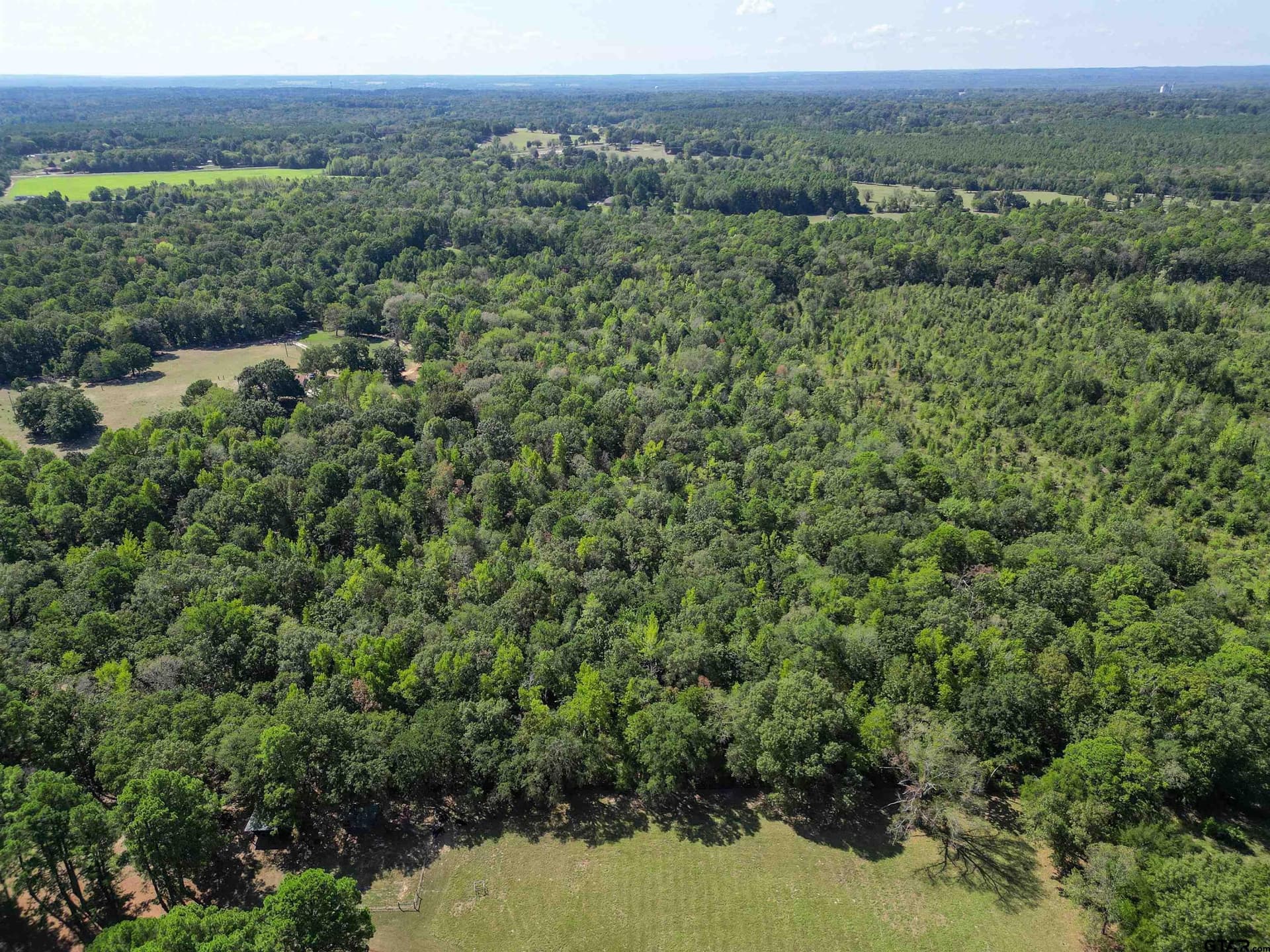18 acres in Wood County - photo 15