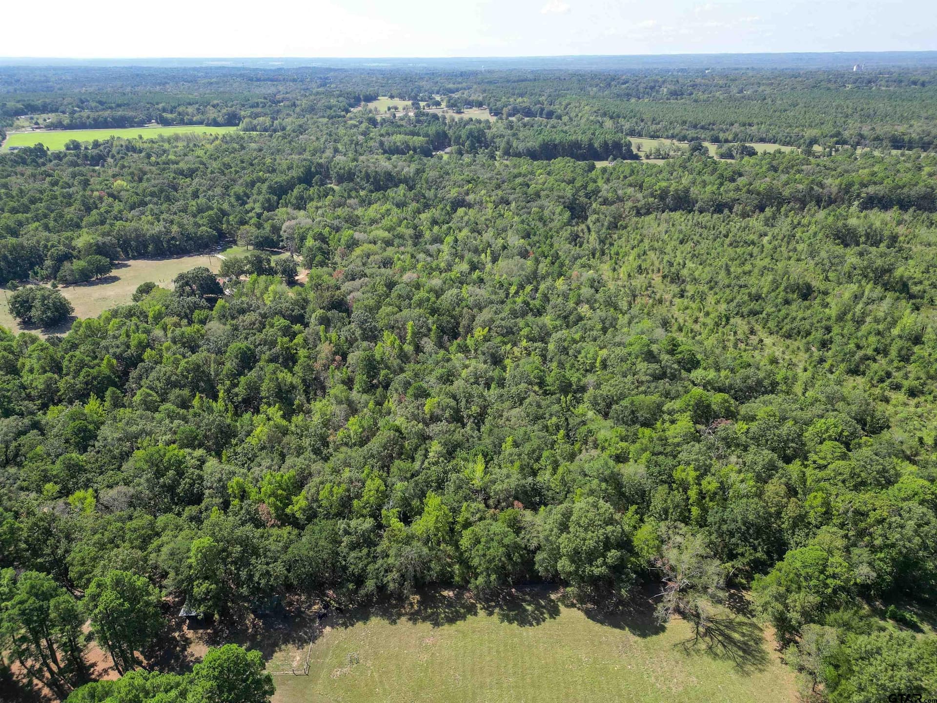 18 acres in Wood County - photo 8