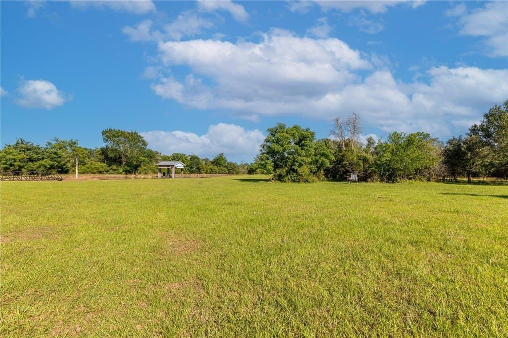 16.1 acres in COLORADO County - photo 24