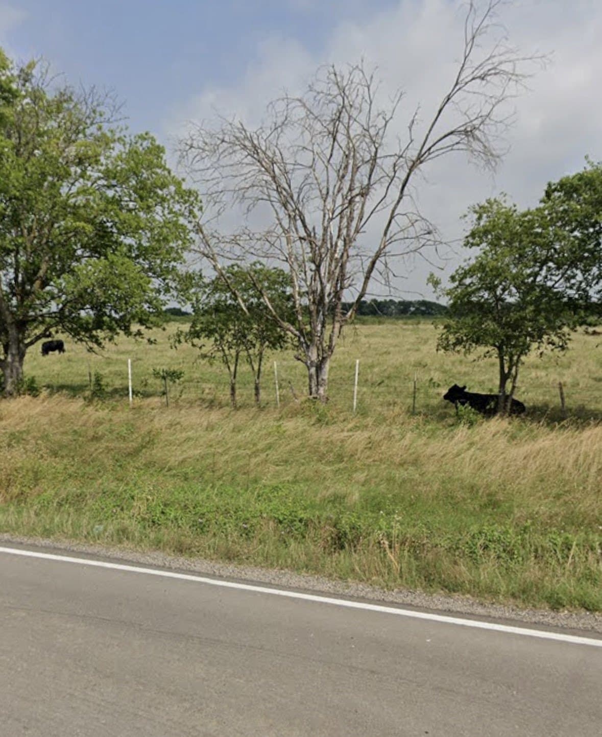 35.7 acres in Limestone County gallery image 4