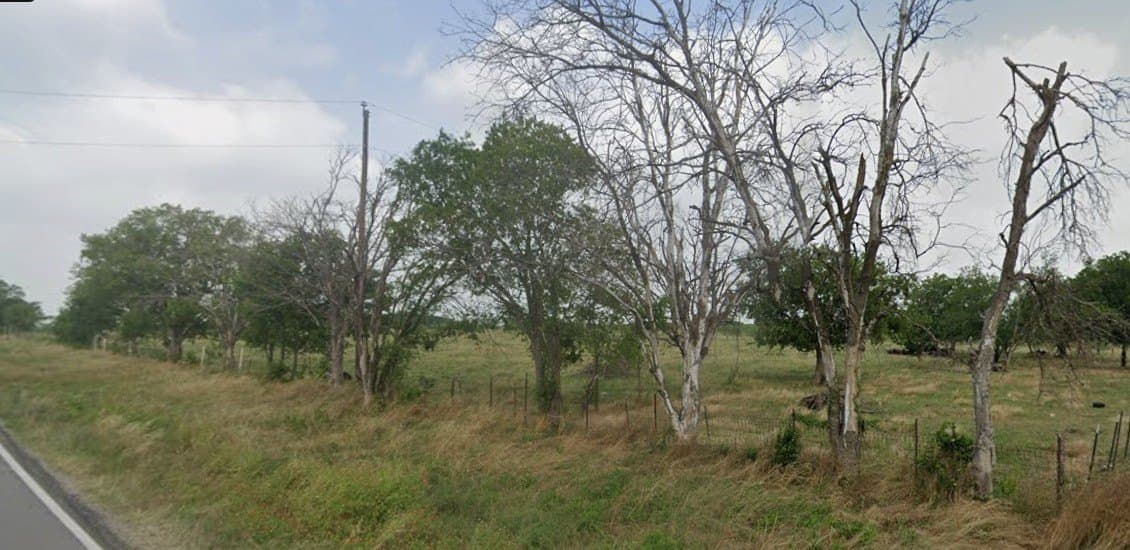 35.7 acres in Limestone County featured view