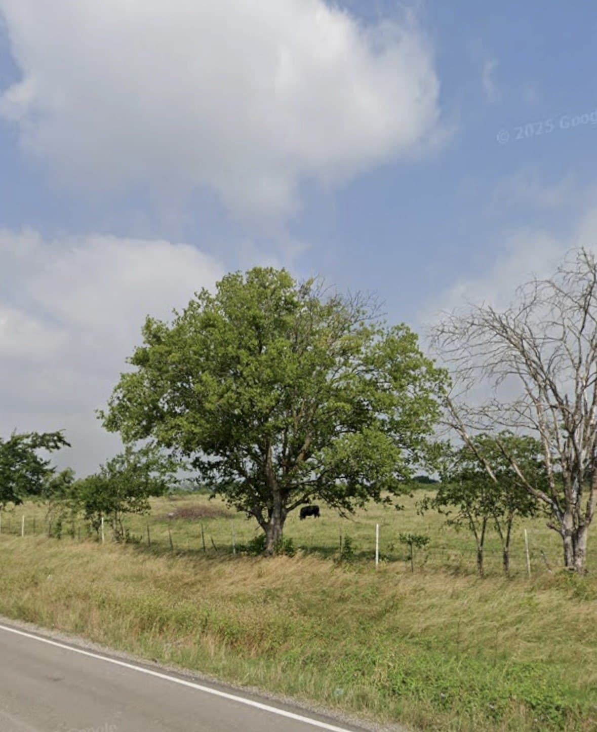 35.7 acres in Limestone County gallery image 3