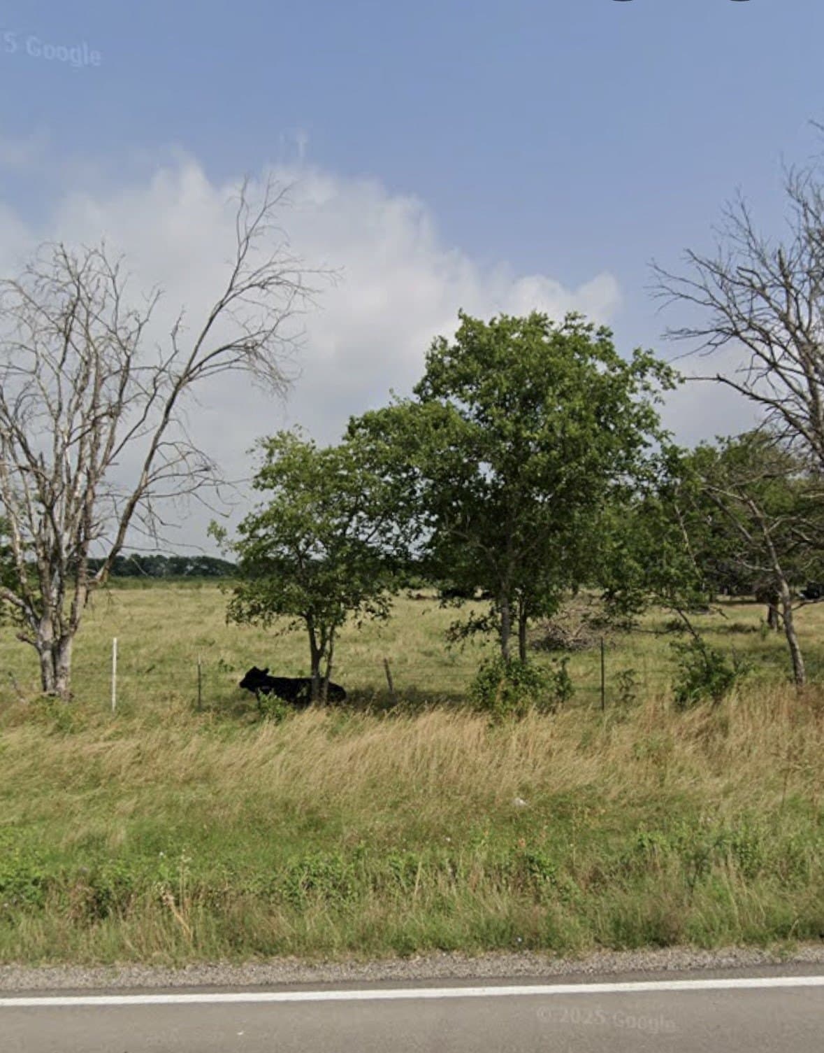35.7 acres in Limestone County gallery image 2