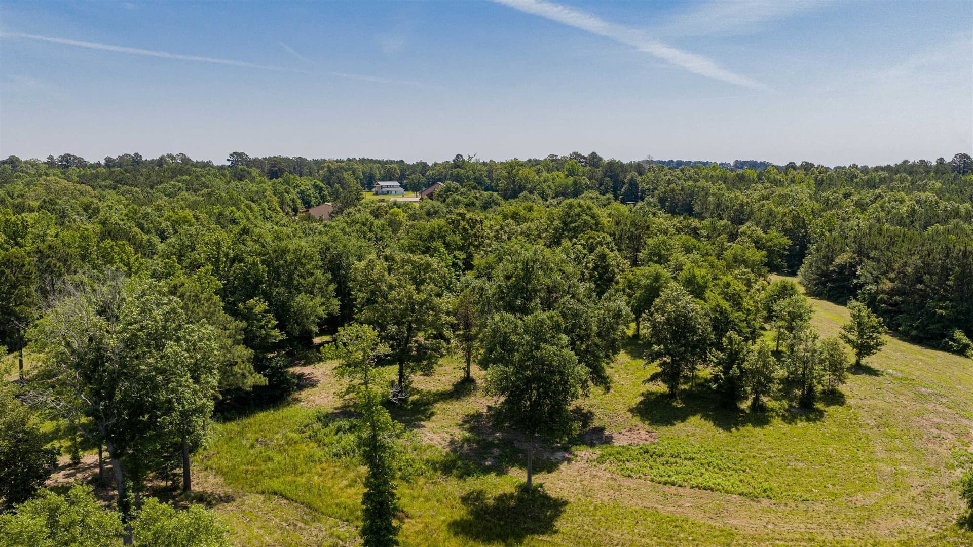 16.95 acres in Upshur County - photo 48