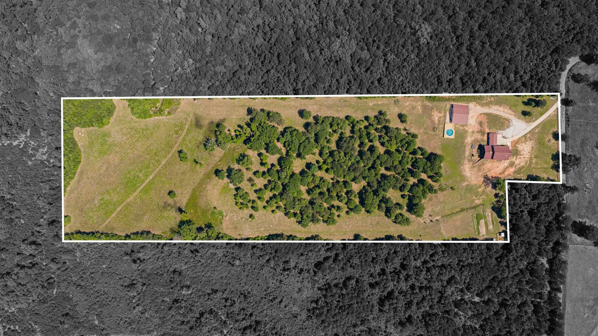 16.95 acres in Upshur County - photo 50
