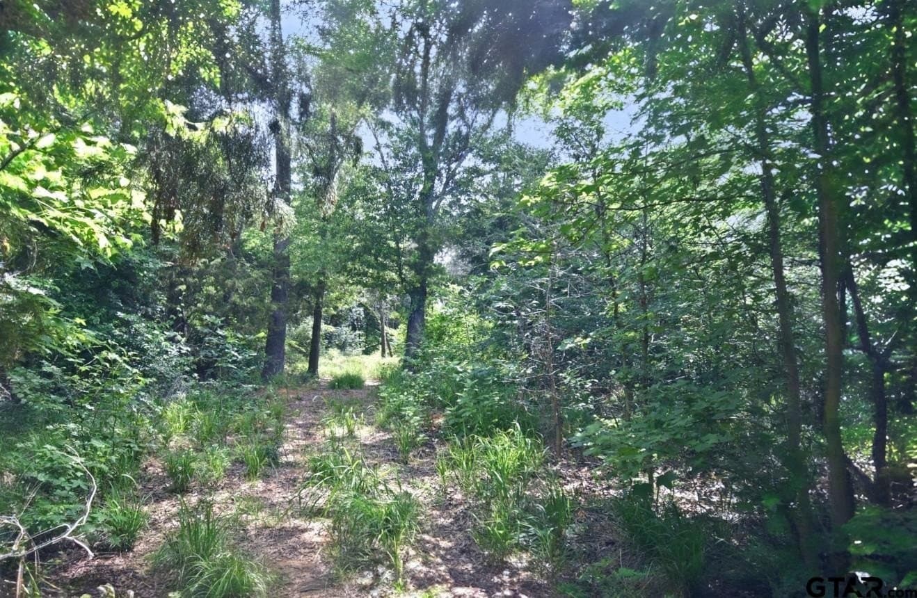 0.82 acres in Wood County - photo 11
