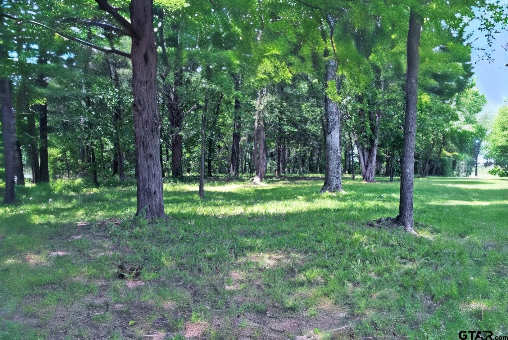 0.82 acres in Wood County - photo 3