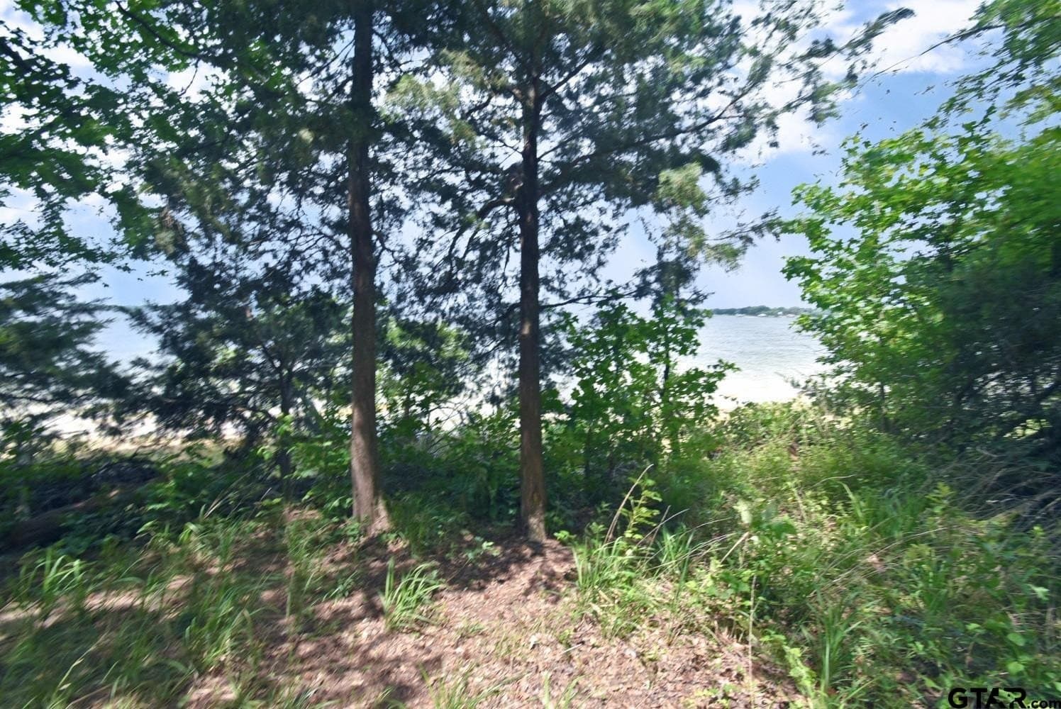 0.82 acres in Wood County - photo 12
