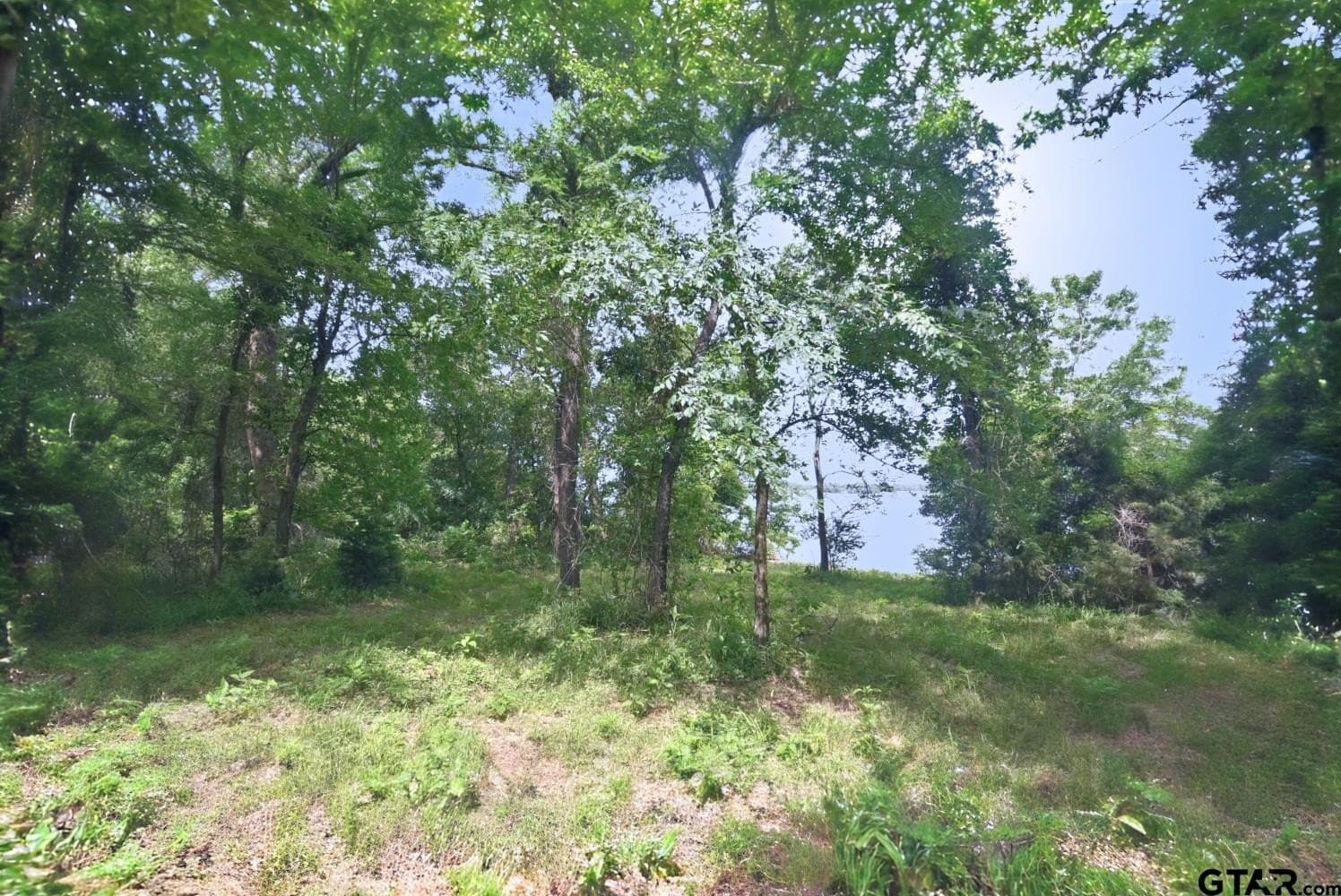 0.82 acres in Wood County - photo 8