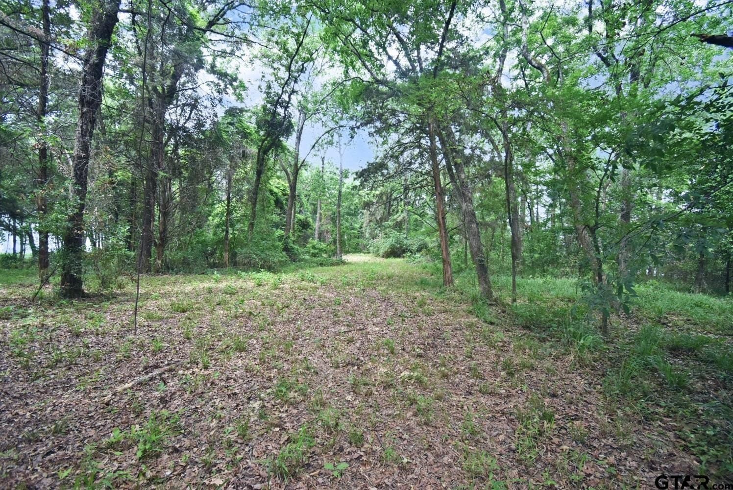 0.82 acres in Wood County - photo 6