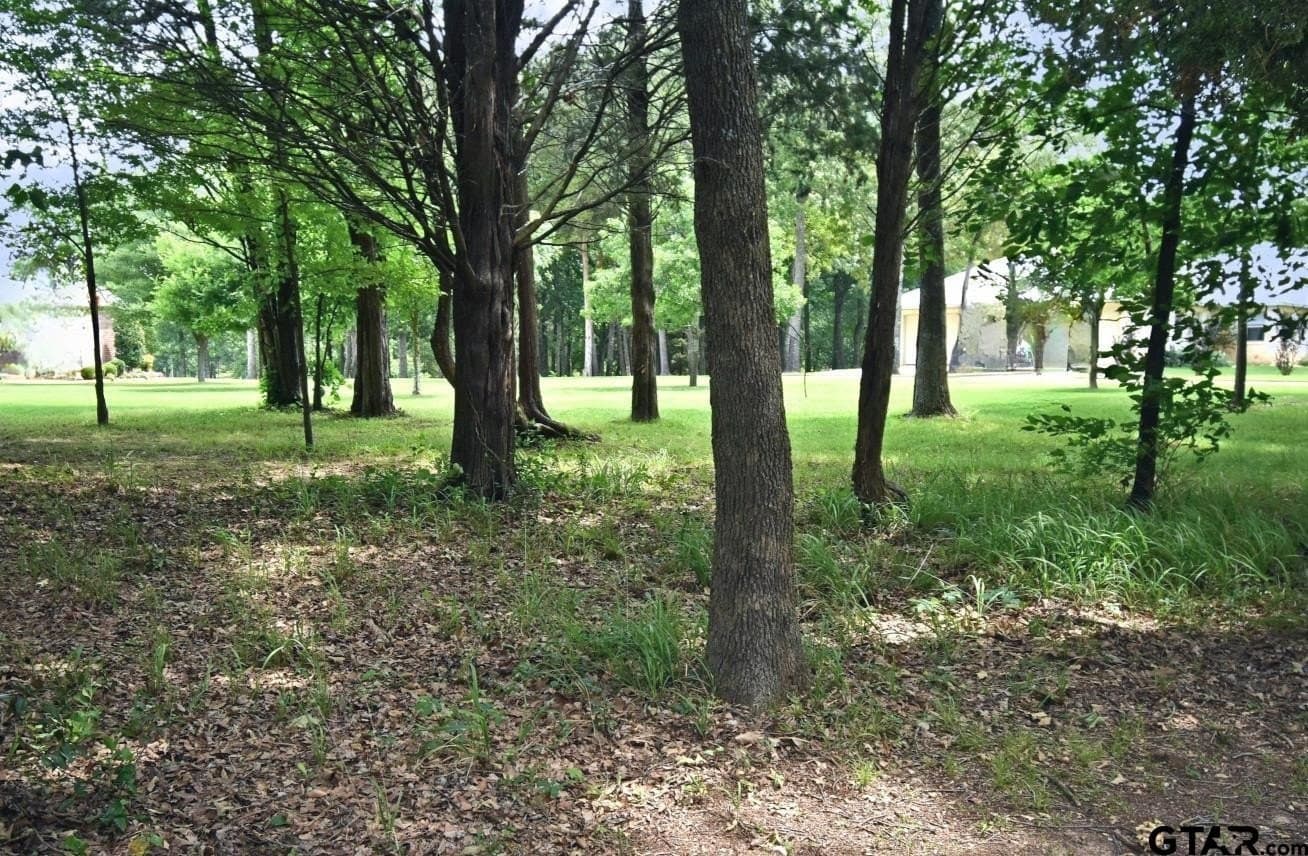 0.82 acres in Wood County - photo 5
