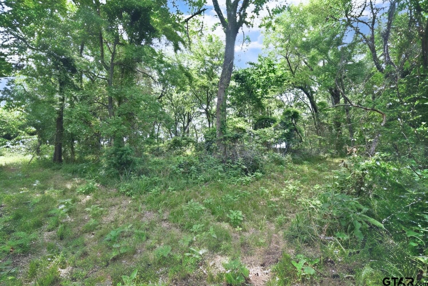 0.82 acres in Wood County - photo 10