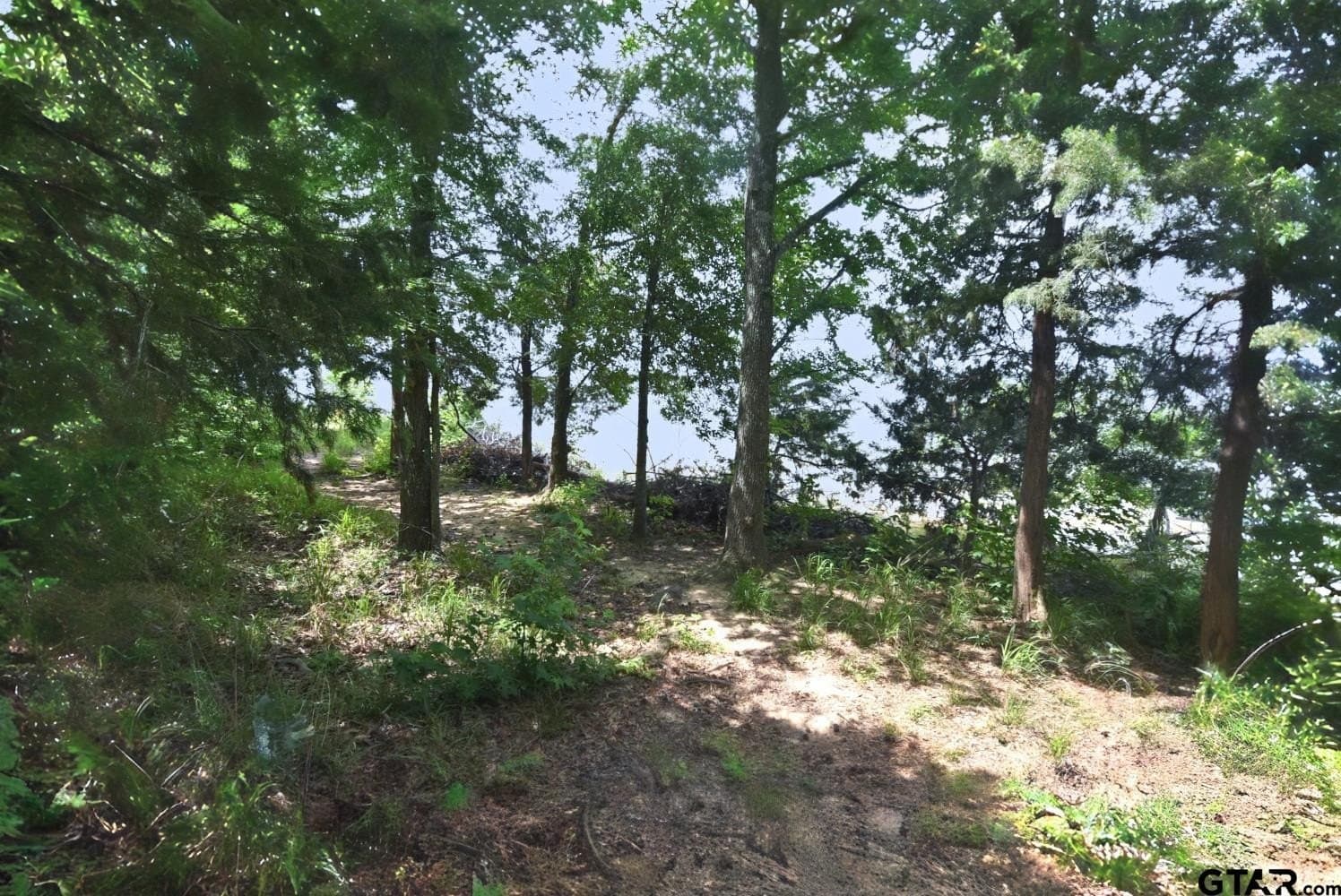 0.82 acres in Wood County - photo 9
