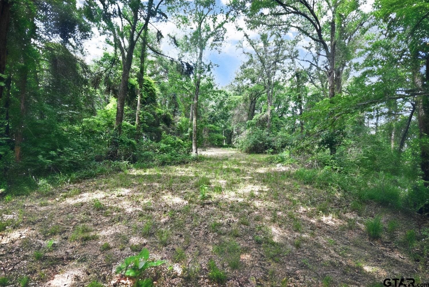 0.82 acres in Wood County - photo 7