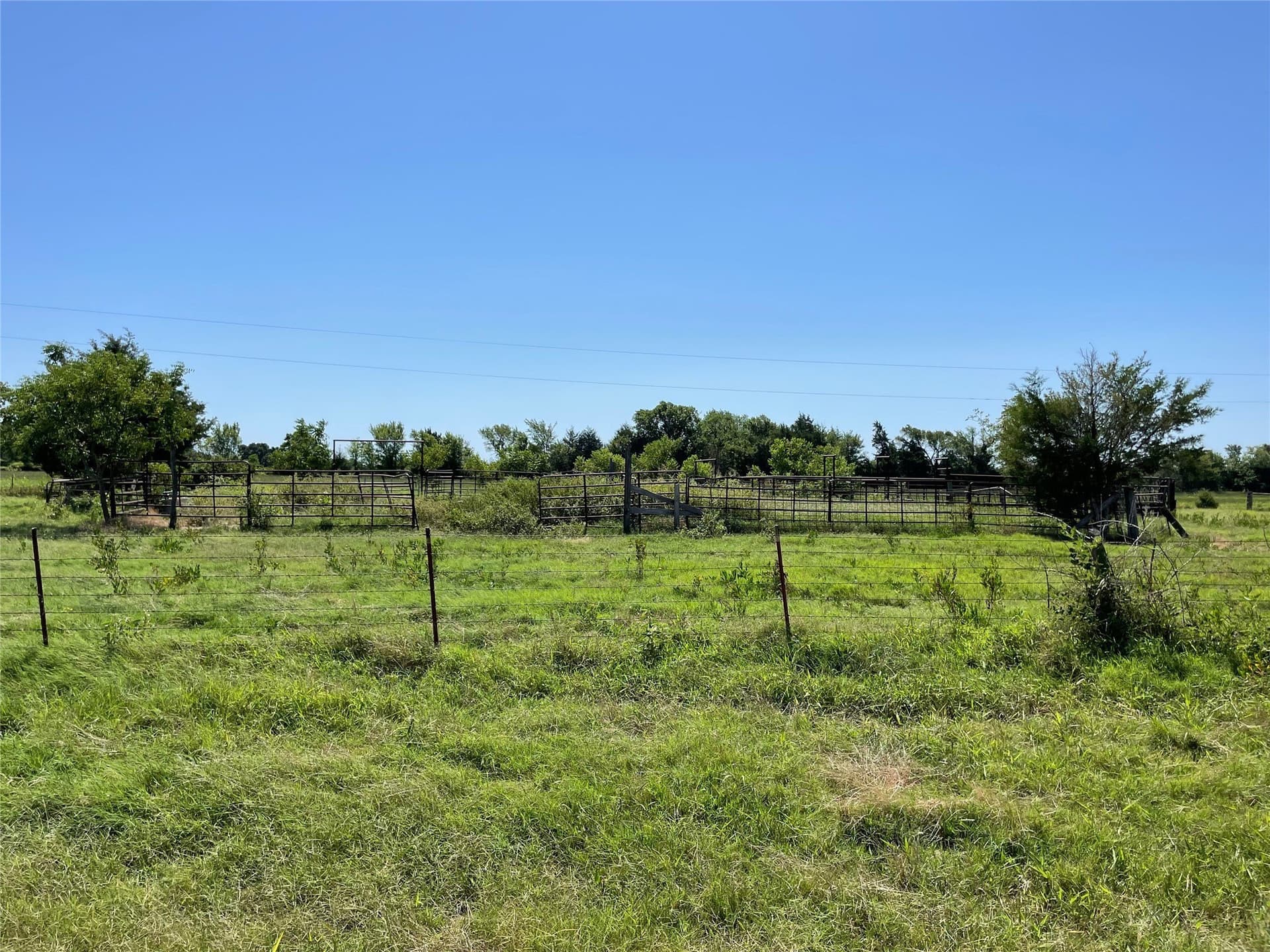 40 acres in Fannin County gallery image 4