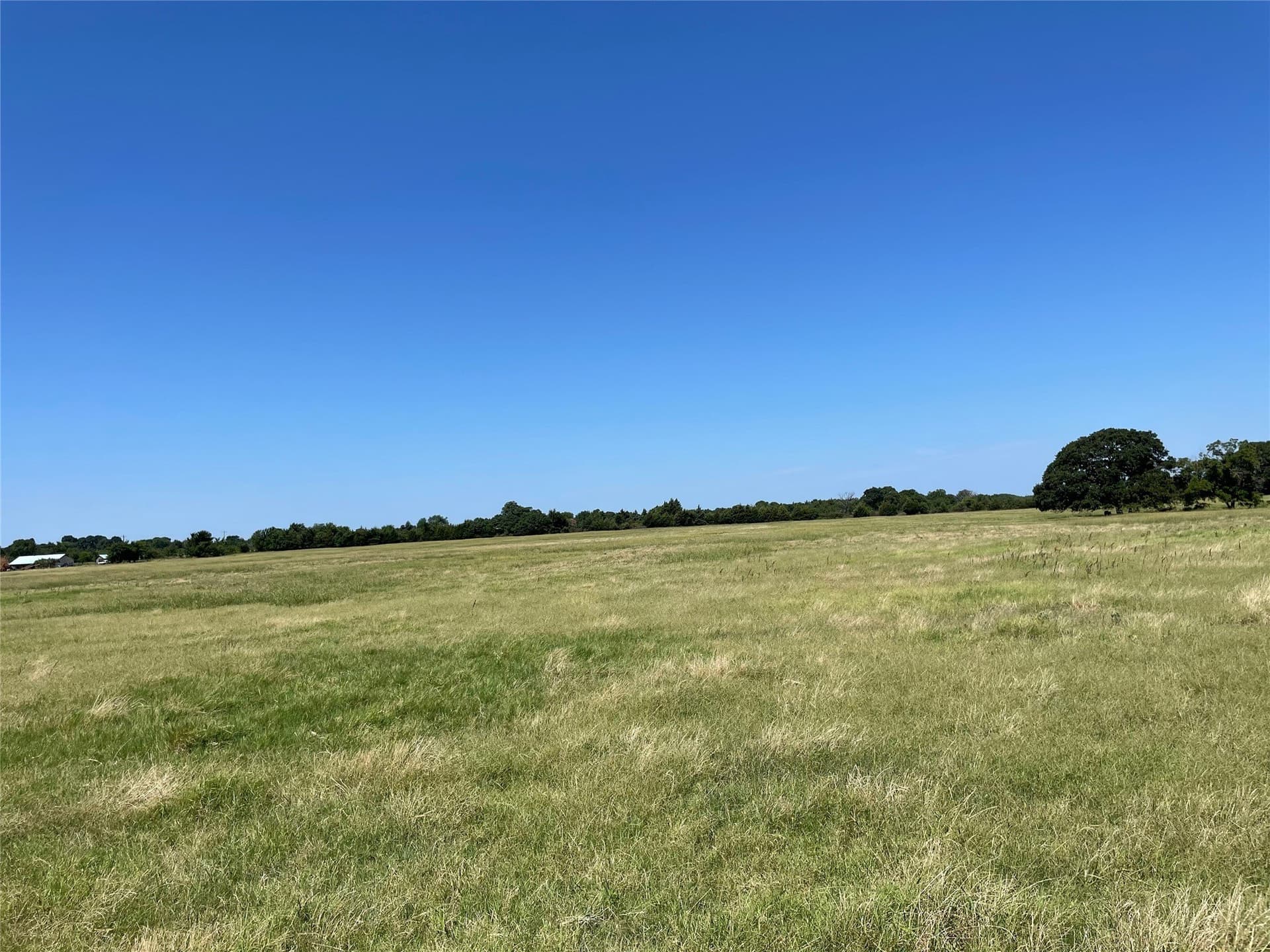 40 acres in Fannin County