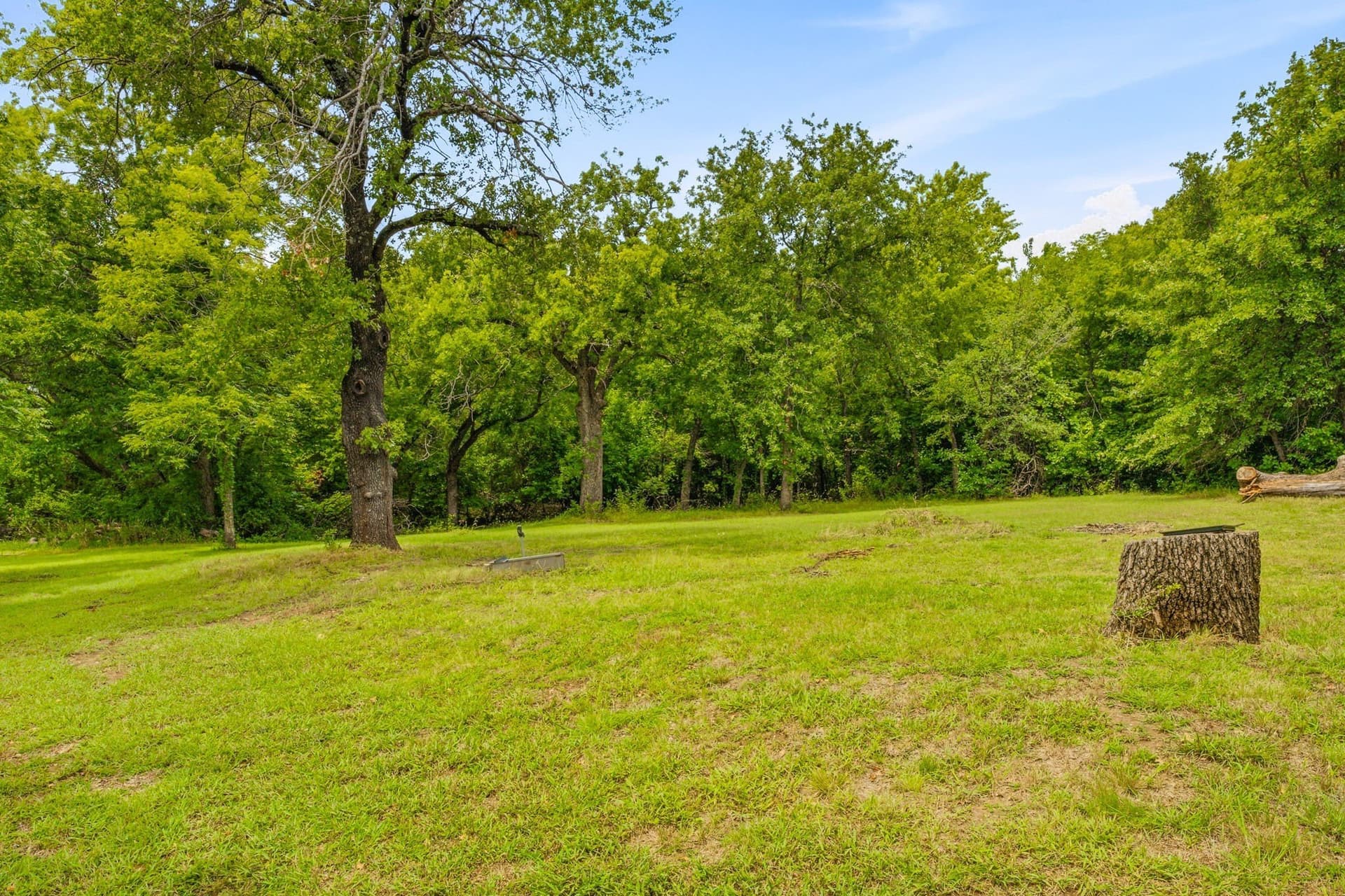 14 acres in Erath County - photo 25
