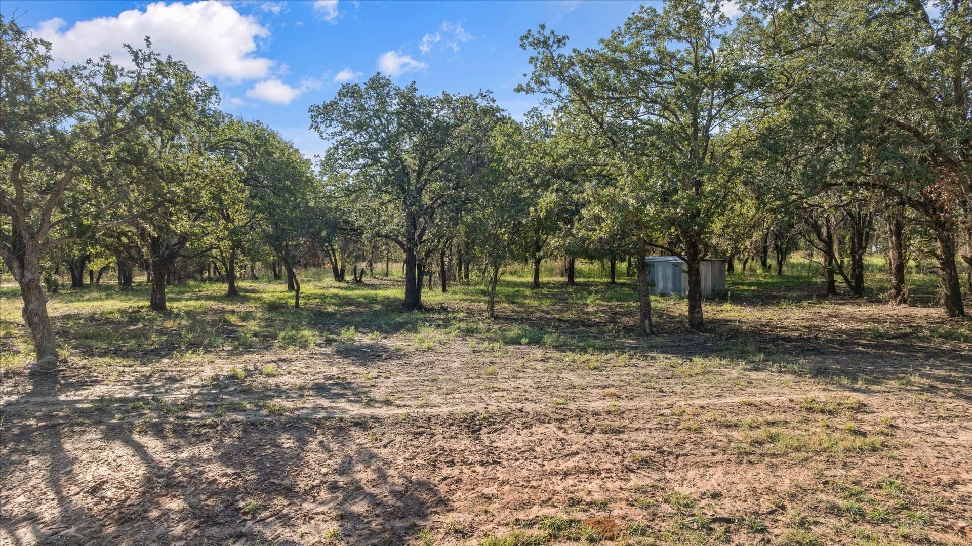 6.56 acres in Erath County featured view