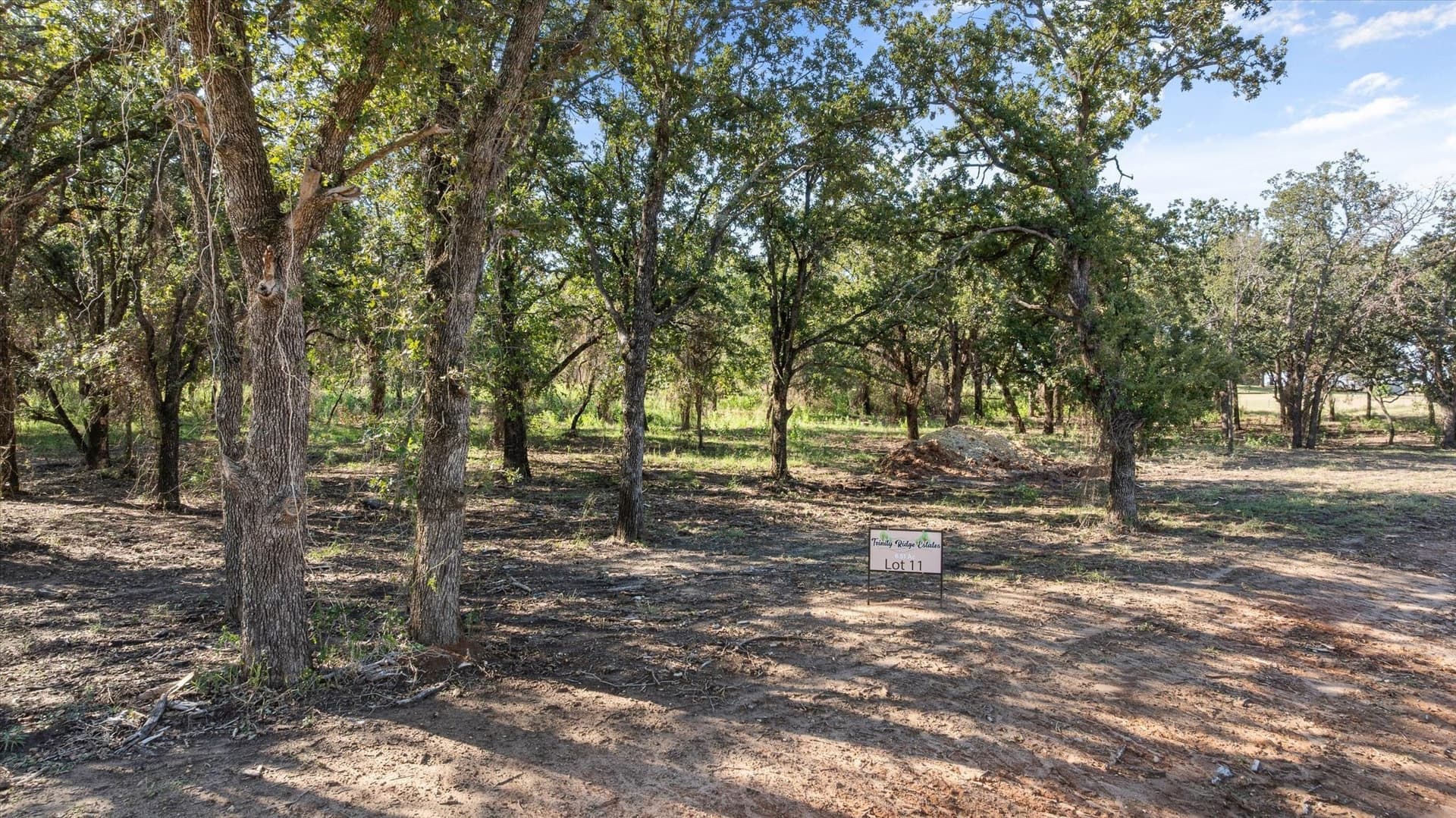 6.56 acres in Erath County gallery image 2