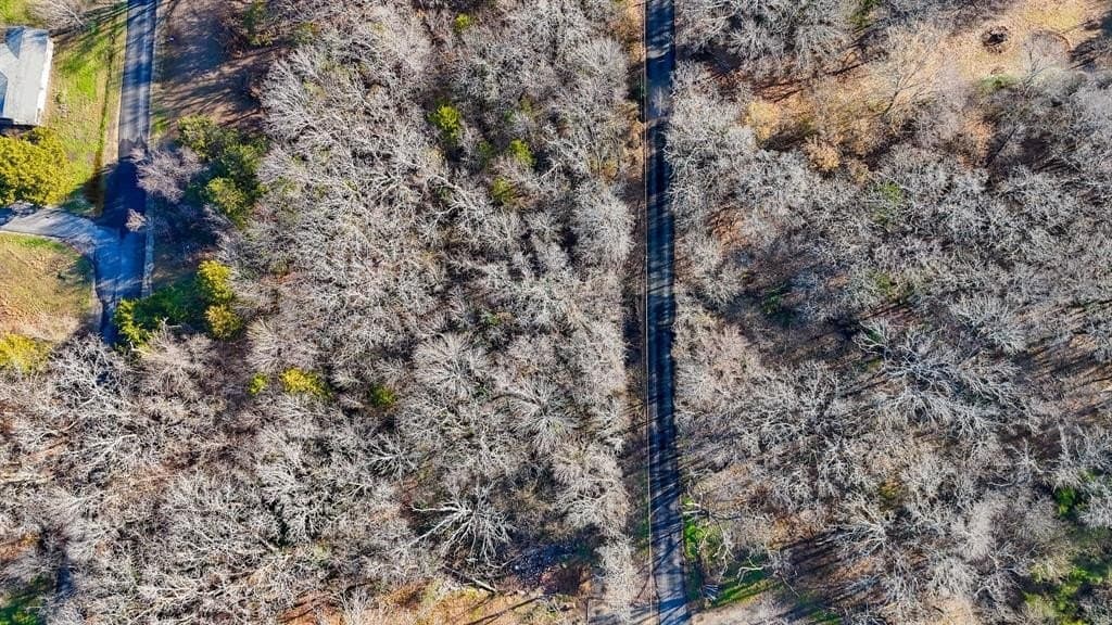 0.78 acres in Navarro County gallery image 4