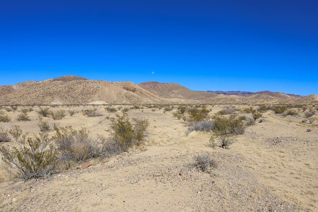 520 acres in Presidio County featured view