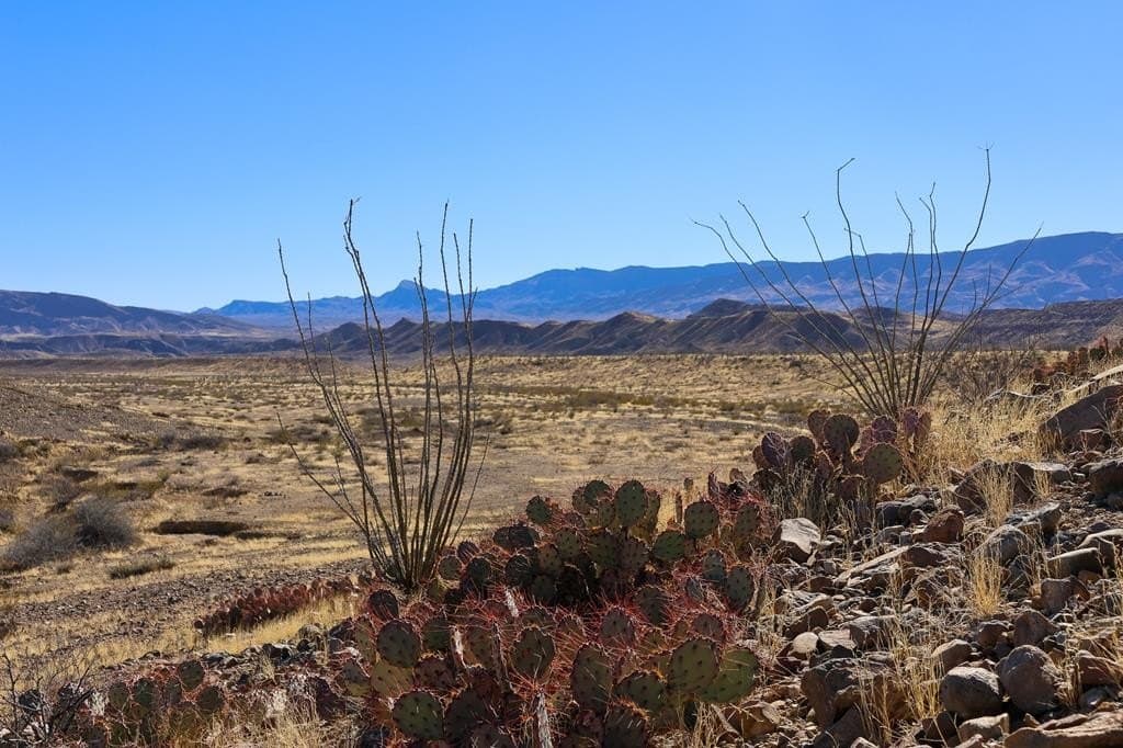 520 acres in Presidio County