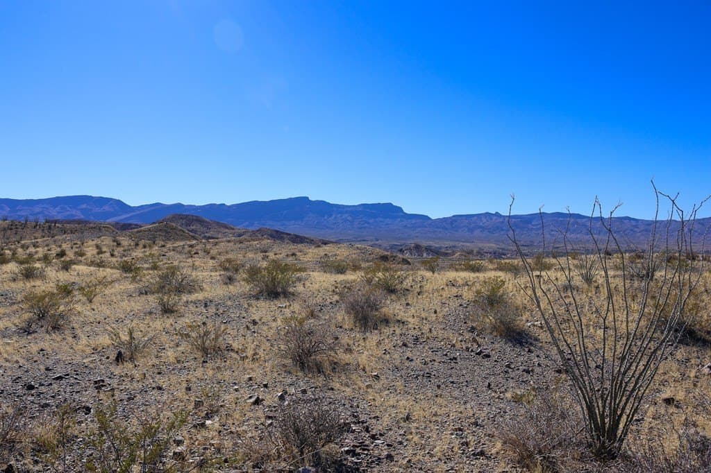 520 acres in Presidio County - photo 9