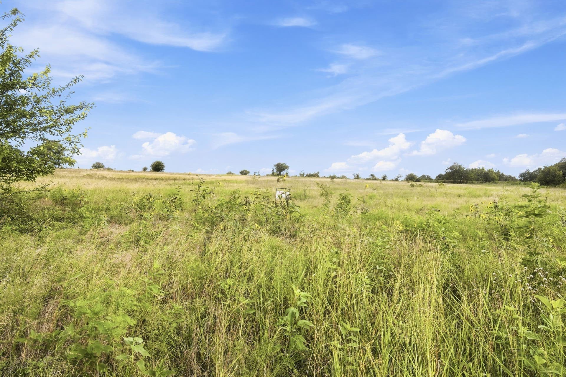 2 acres in Hill County - photo 12