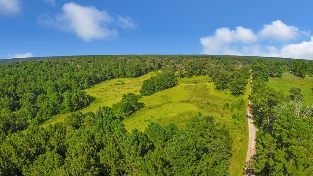 45.22 acres in Texas County gallery image 3