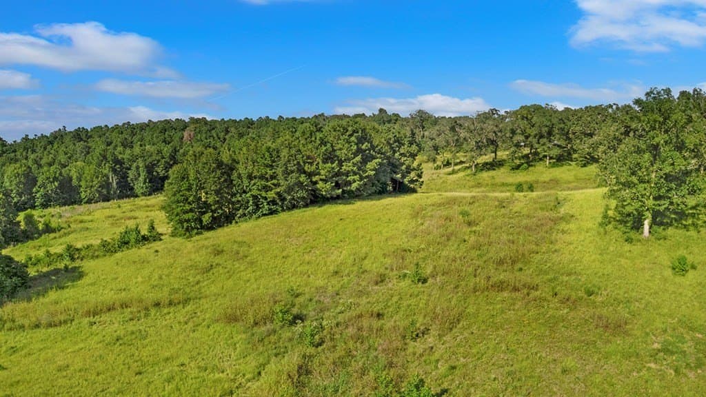 45.22 acres in Texas County featured view