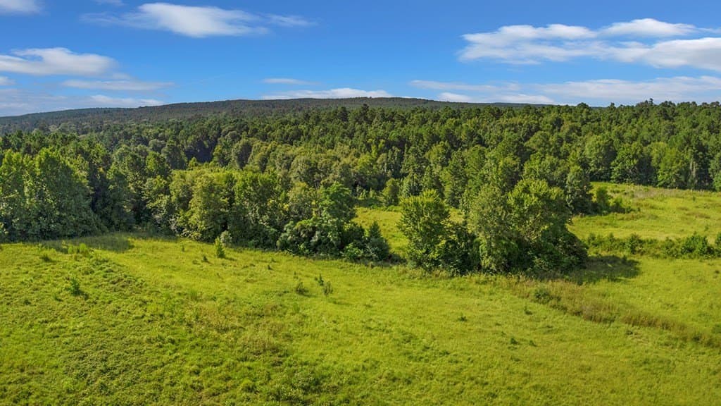 45.22 acres in Texas County gallery image 4