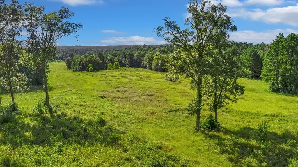 45.22 acres in Texas County