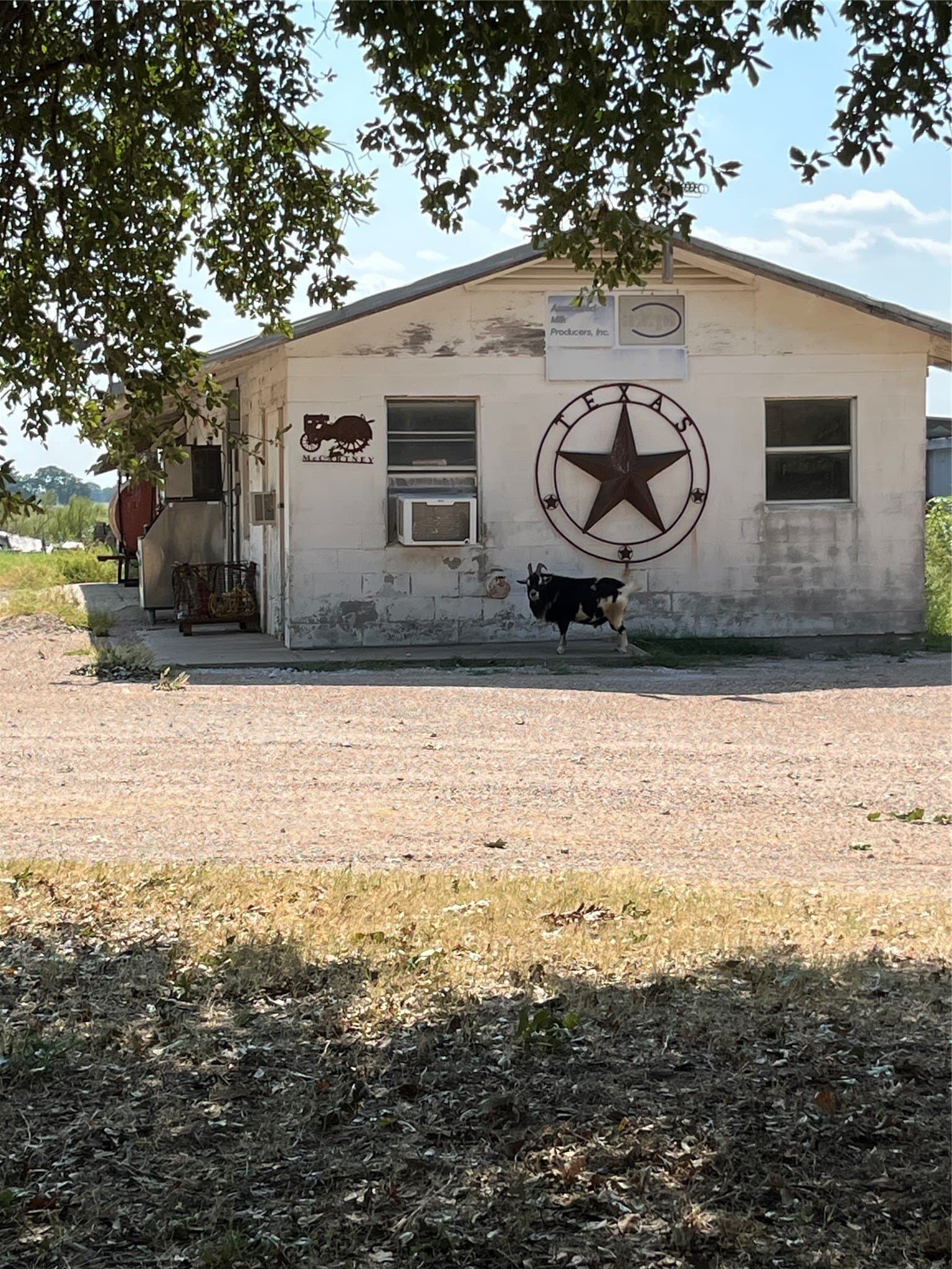 75.61 acres in McLennan County - photo 9