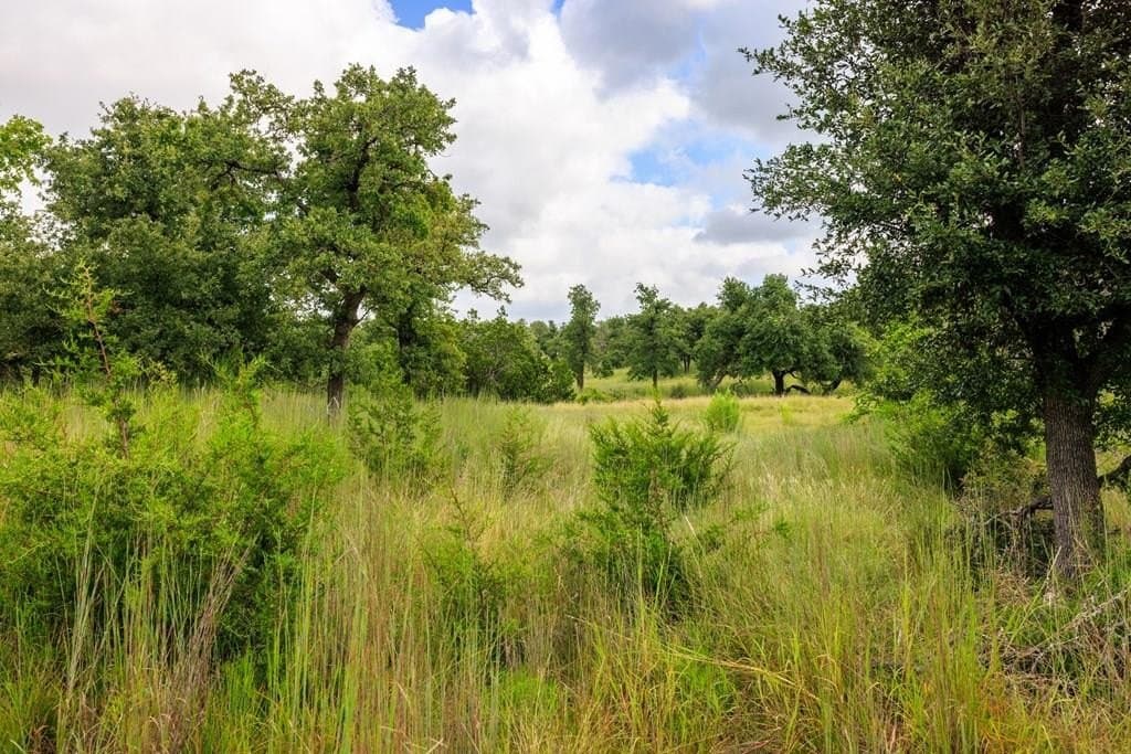10.09 acres in Gillespie County