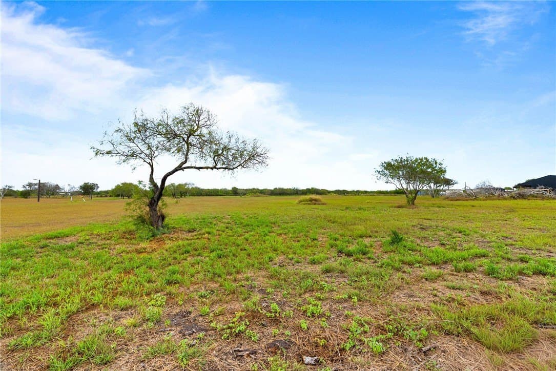 5 acres in San Patricio County - photo 5