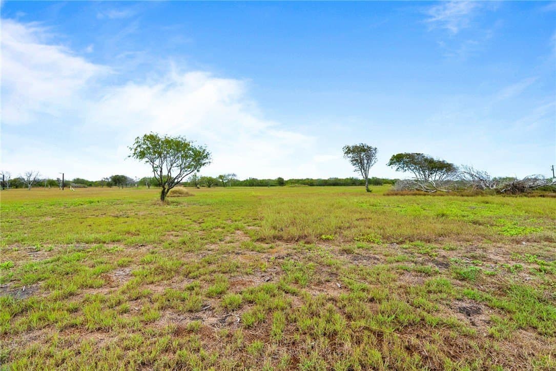 5 acres in San Patricio County - photo 4