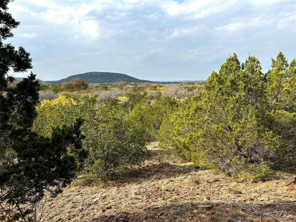 46 acres in Eastland County gallery image 2