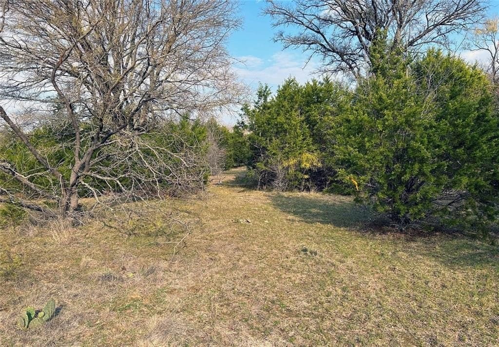 46 acres in Eastland County featured view