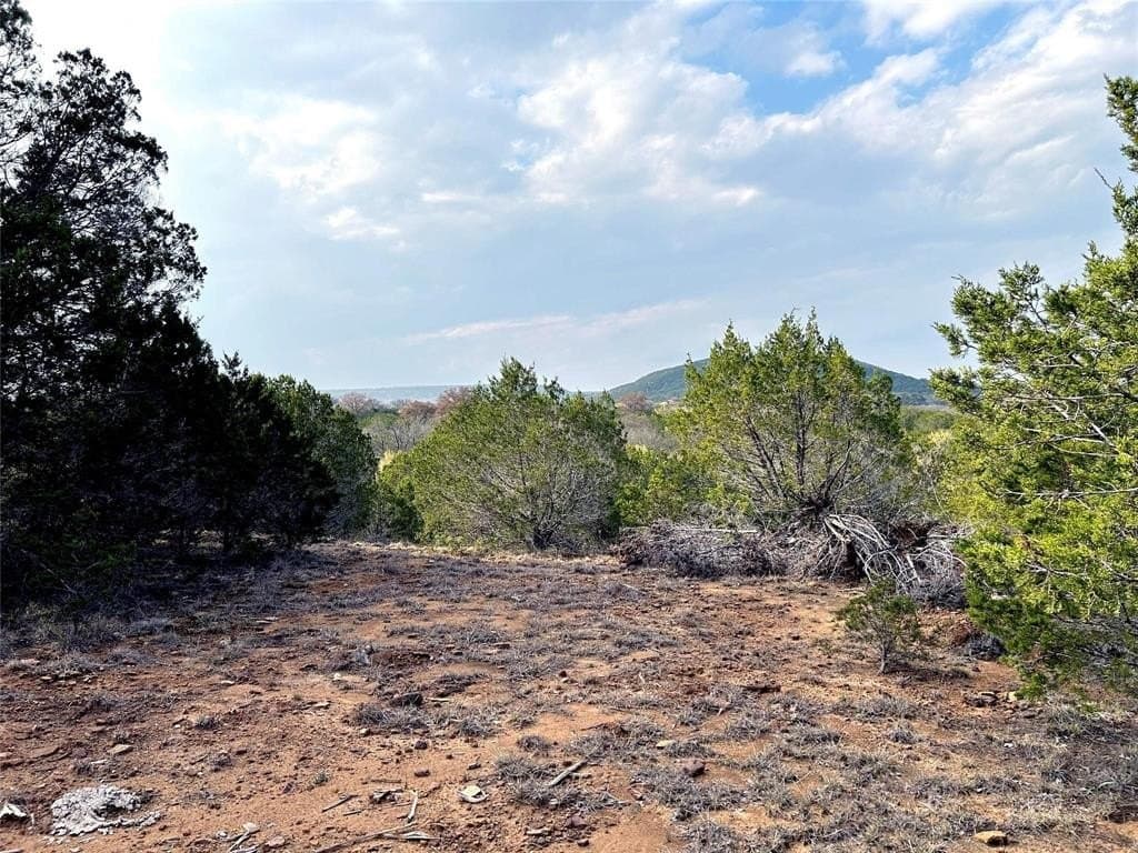 46 acres in Eastland County gallery image 4