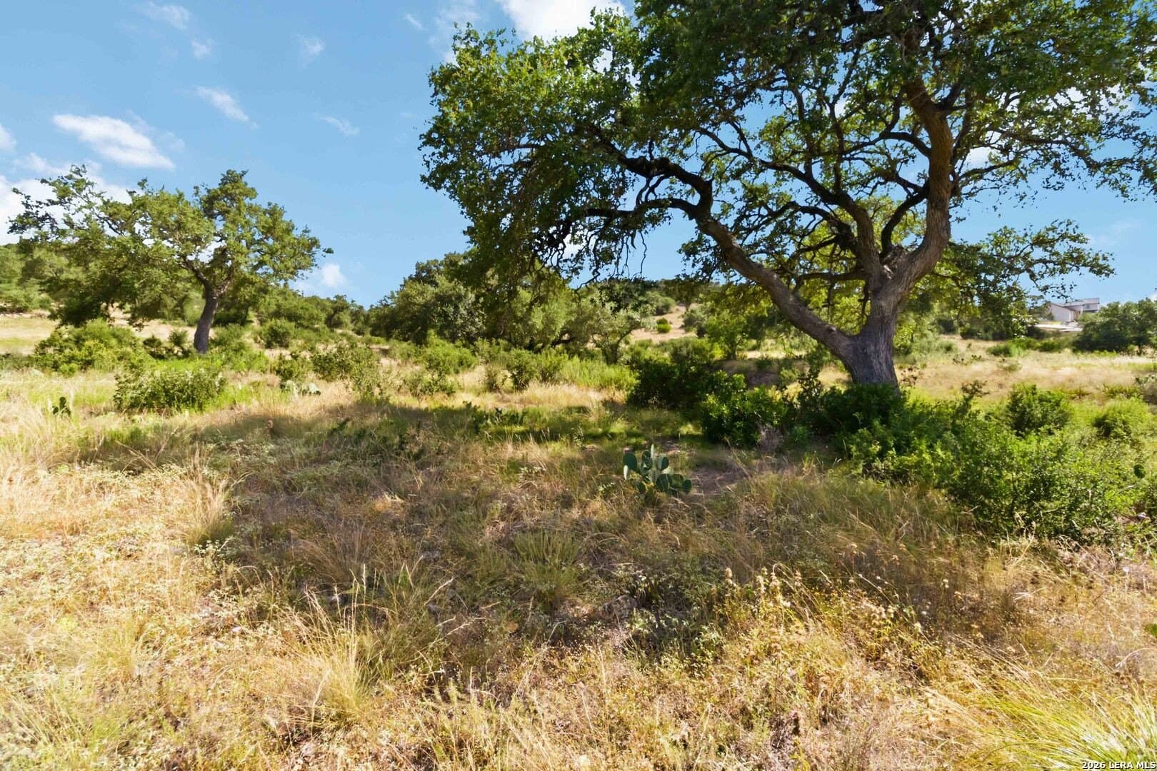 2.62 acres in Comal County - photo 9